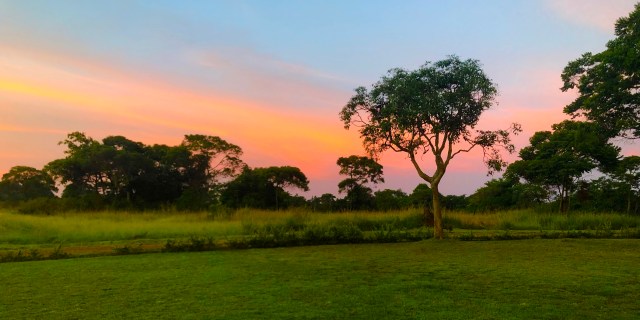 AF4297E4-8964-4B8E-AA1A-36AF2FFC9875